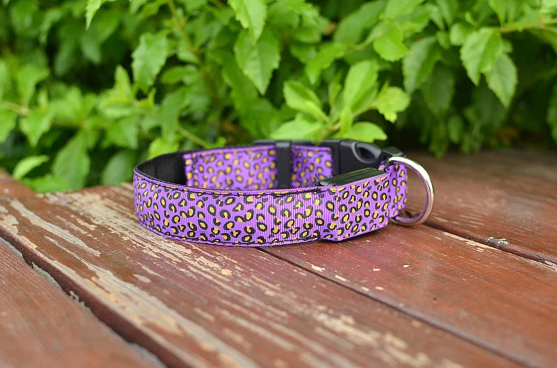 LED Leopard Print Glowing Dog Collar – Adjustable & Rechargeable