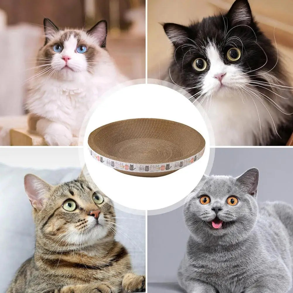Cat Scratcher Cardboard Round Oval Cat Scratch Pad