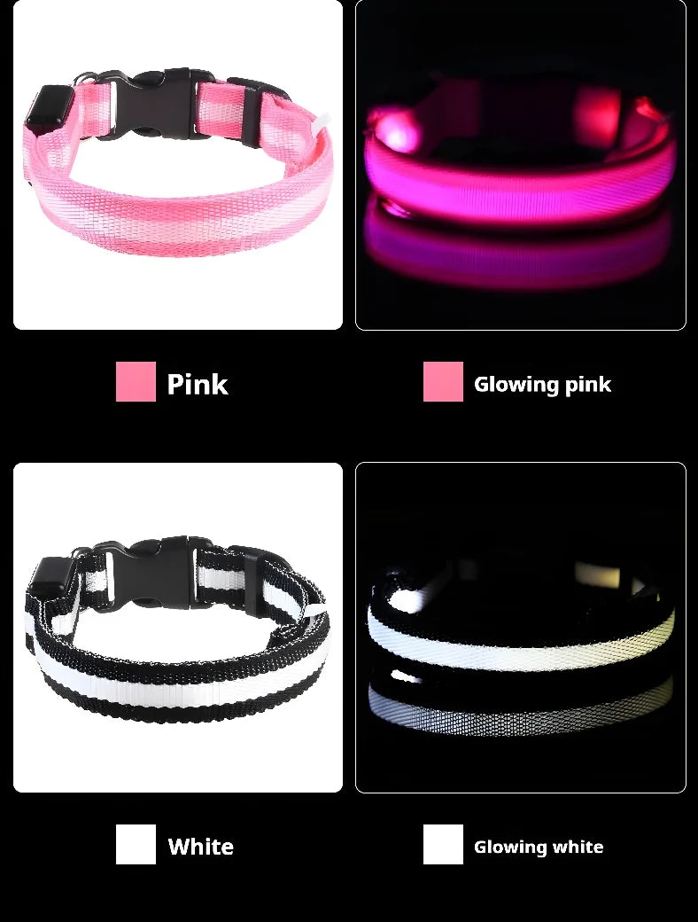 Nylon LED Night Dog Collar