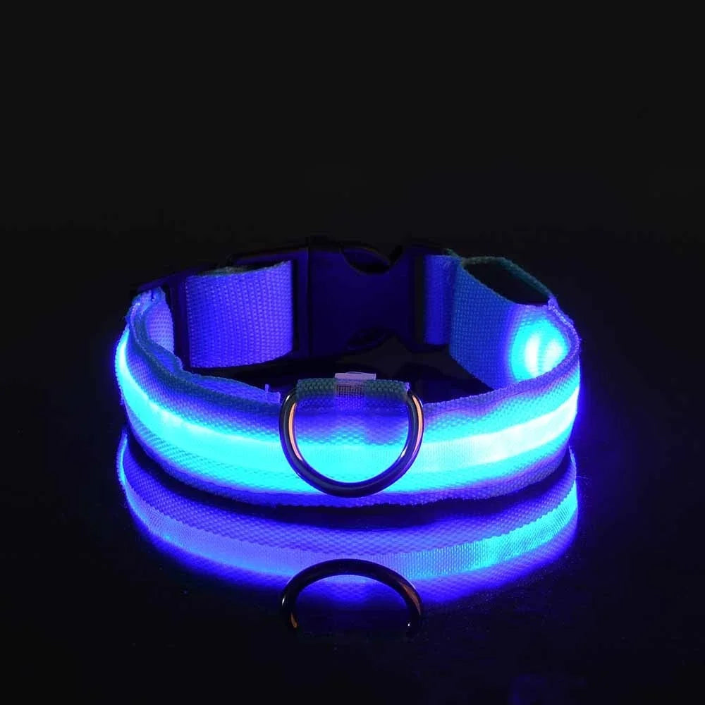 Nylon LED Night Dog Collar