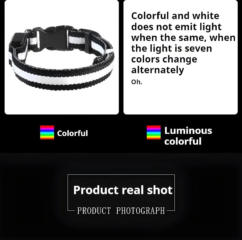 Nylon LED Night Dog Collar