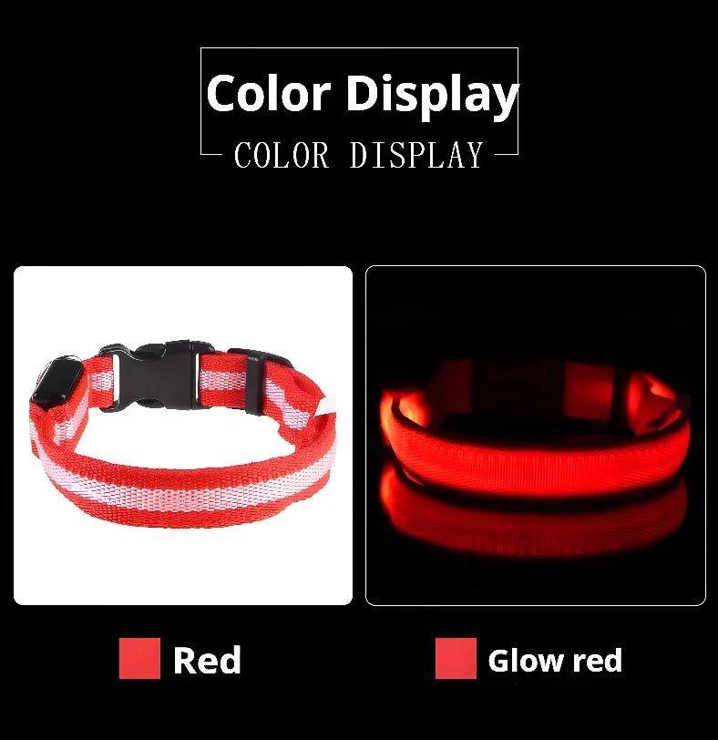 Nylon LED Night Dog Collar