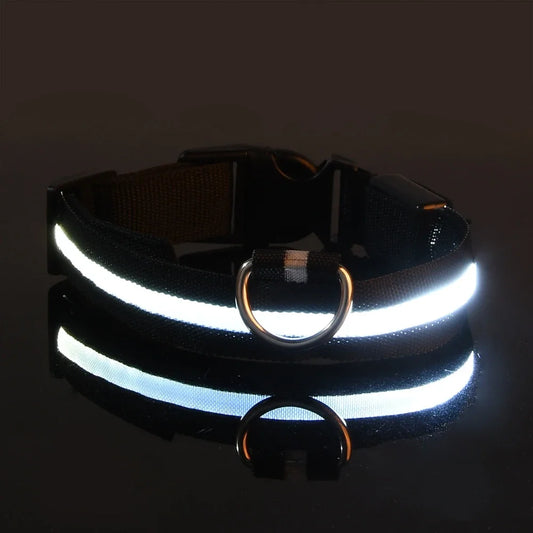 Nylon LED Night Dog Collar