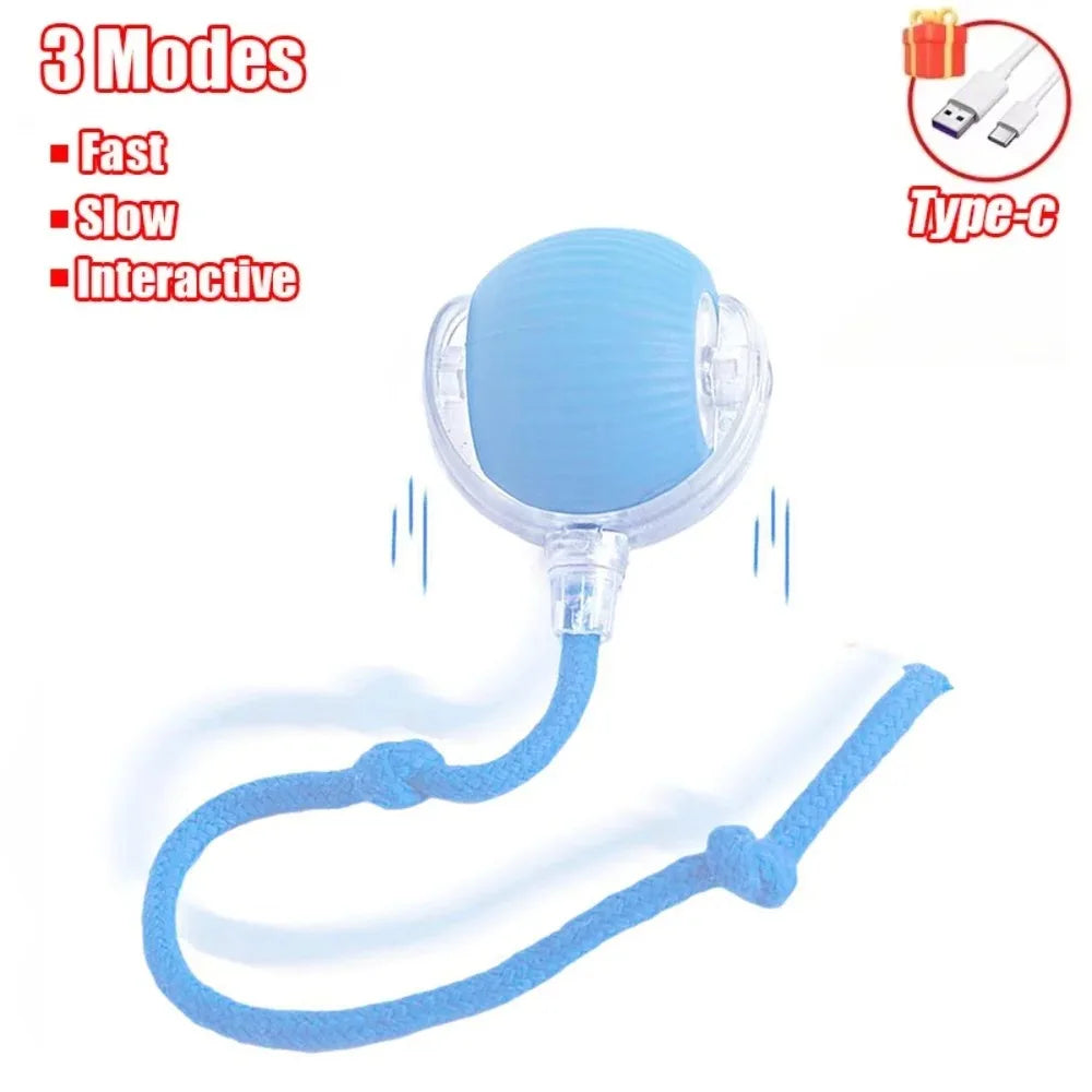 New Automatic Rolling Ball Cat Toy
