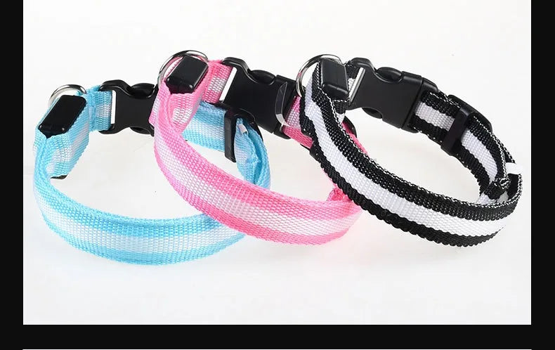 Nylon LED Night Dog Collar