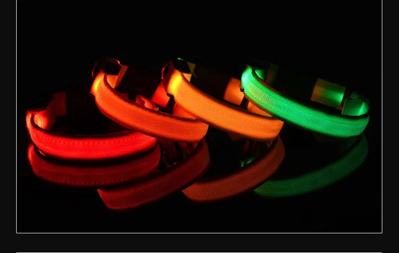 Nylon LED Night Dog Collar