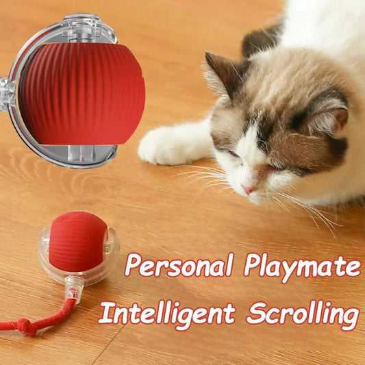 New Automatic Rolling Ball Cat Toy