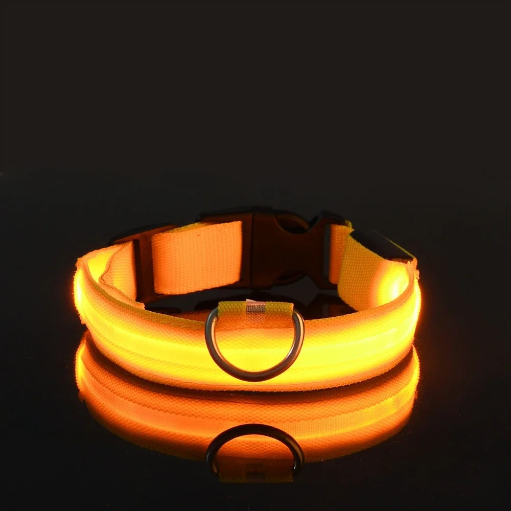 Nylon LED Night Dog Collar