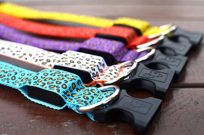 LED Leopard Print Glowing Dog Collar – Adjustable & Rechargeable