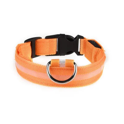 LED Leopard Print Glowing Dog Collar – Adjustable & Rechargeable
