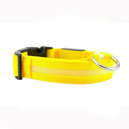 LED Leopard Print Glowing Dog Collar – Adjustable & Rechargeable