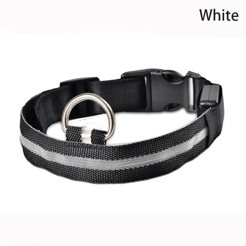 LED Leopard Print Glowing Dog Collar – Adjustable & Rechargeable