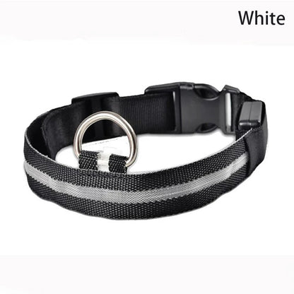 LED Leopard Print Glowing Dog Collar – Adjustable & Rechargeable