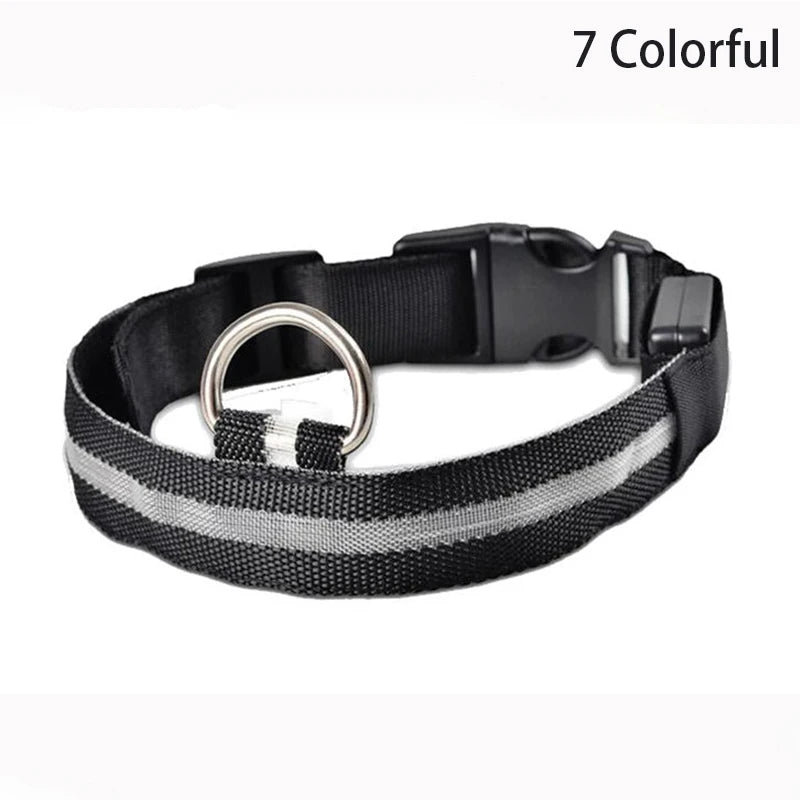 LED Leopard Print Glowing Dog Collar – Adjustable & Rechargeable