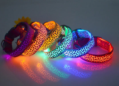 LED Leopard Print Glowing Dog Collar – Adjustable & Rechargeable