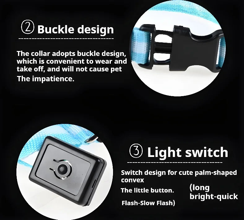Nylon LED Night Dog Collar