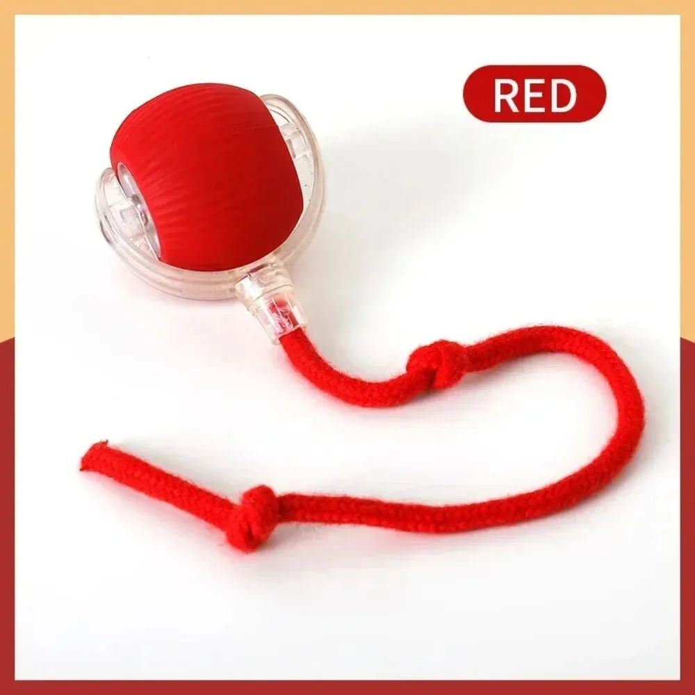 New Automatic Rolling Ball Cat Toy
