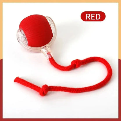 New Automatic Rolling Ball Cat Toy
