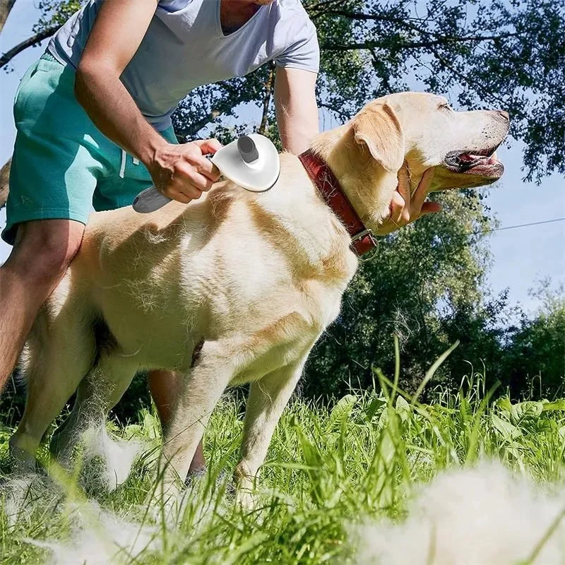Pet Hair Remover Self Cleaning  Brush