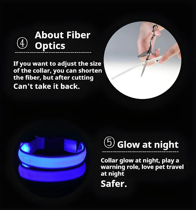 Nylon LED Night Dog Collar