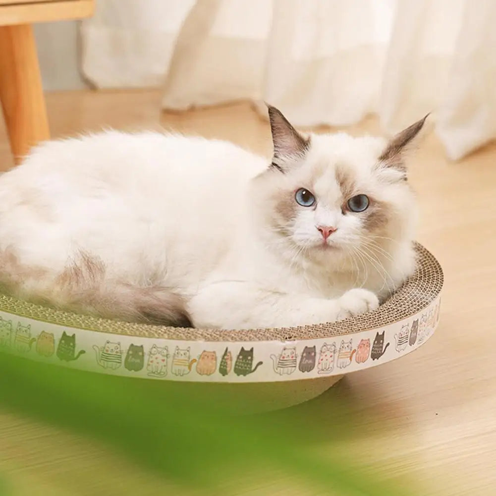 Cat Scratcher Cardboard Round Oval Cat Scratch Pad