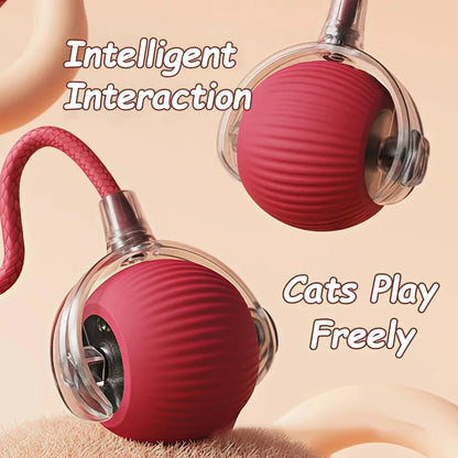 New Automatic Rolling Ball Cat Toy