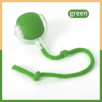 New Automatic Rolling Ball Cat Toy