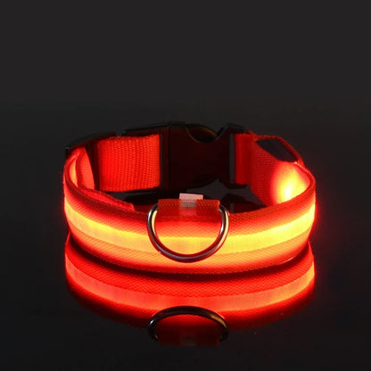Nylon LED Night Dog Collar
