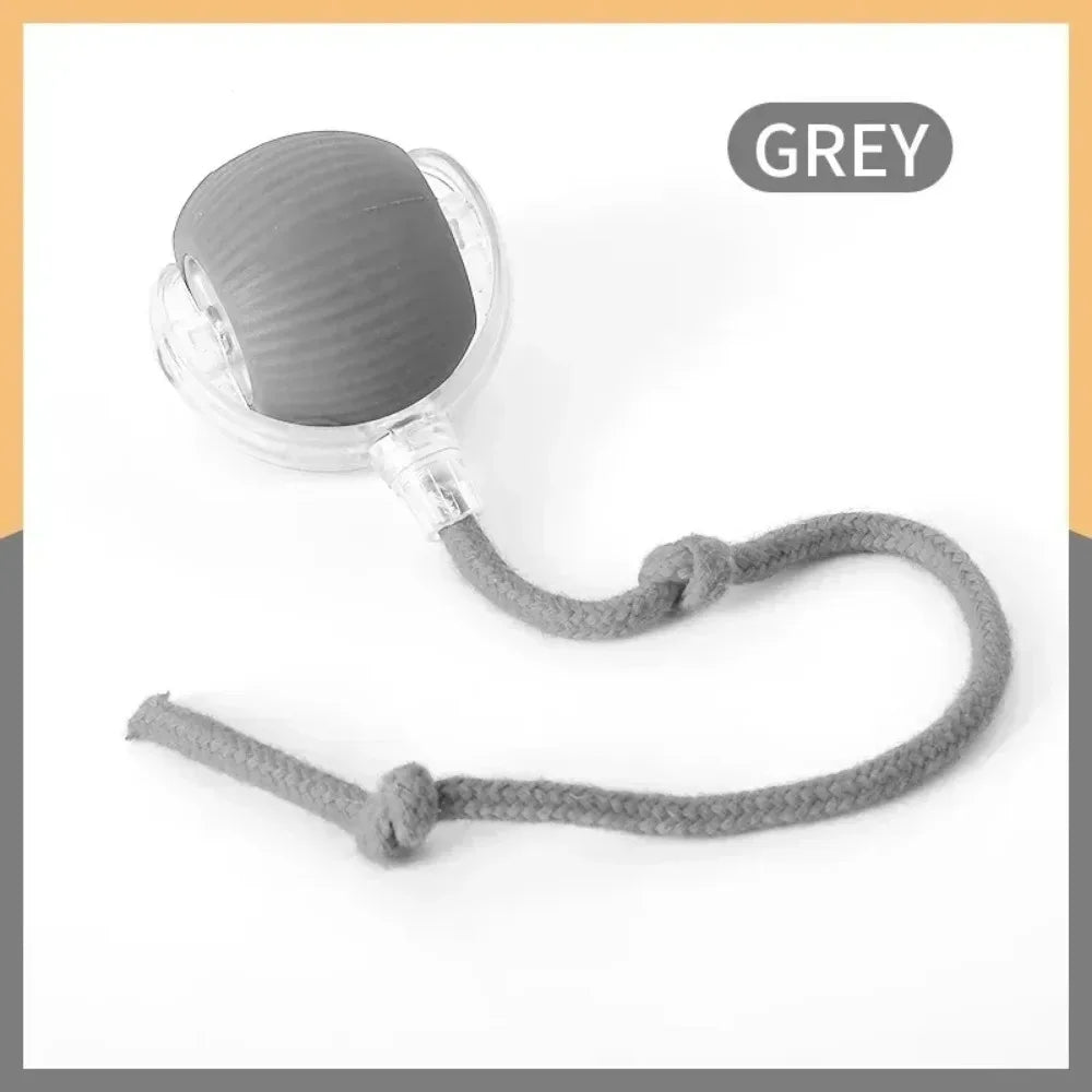 New Automatic Rolling Ball Cat Toy