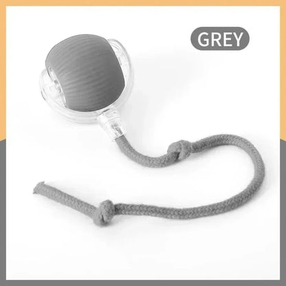 New Automatic Rolling Ball Cat Toy