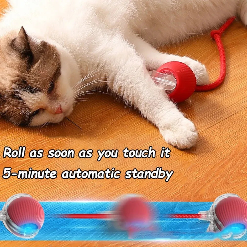 New Automatic Rolling Ball Cat Toy