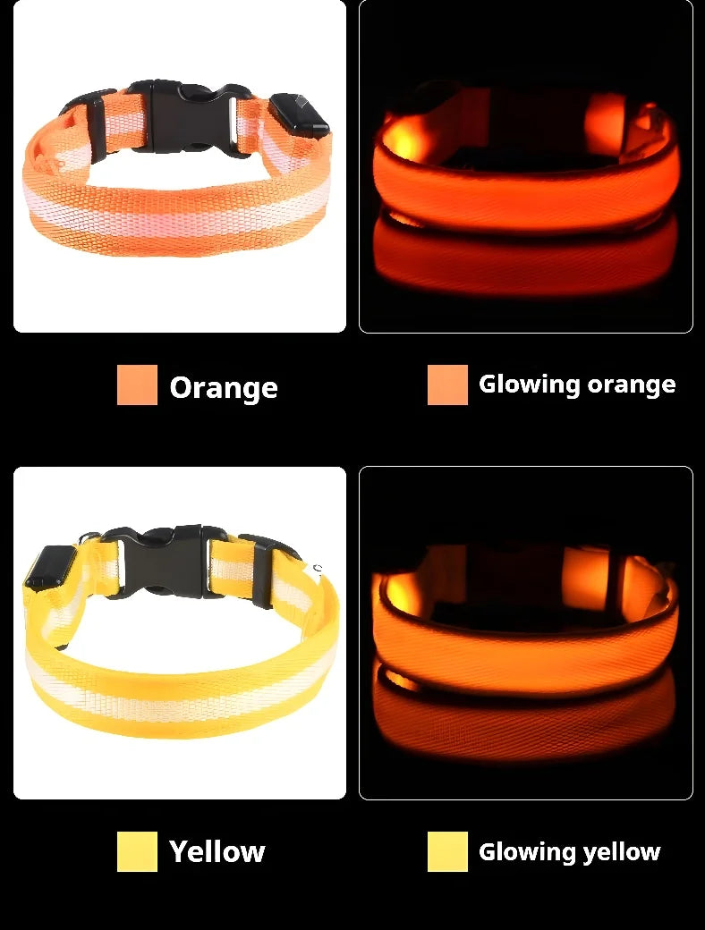 Nylon LED Night Dog Collar
