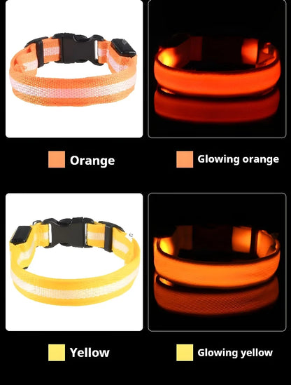 Nylon LED Night Dog Collar