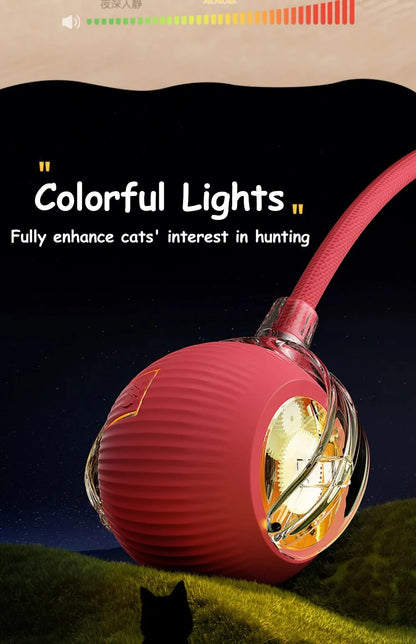 New Automatic Rolling Ball Cat Toy