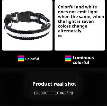 Nylon LED Night Dog Collar