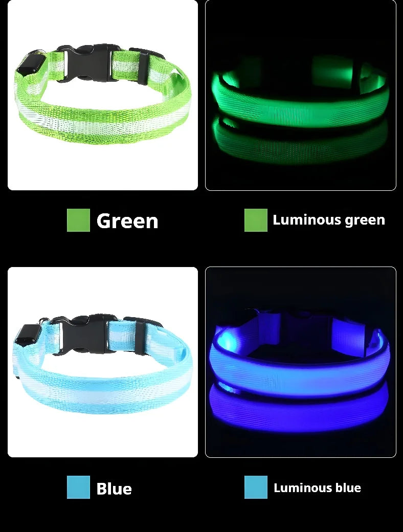 Nylon LED Night Dog Collar