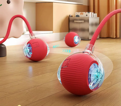 New Automatic Rolling Ball Cat Toy