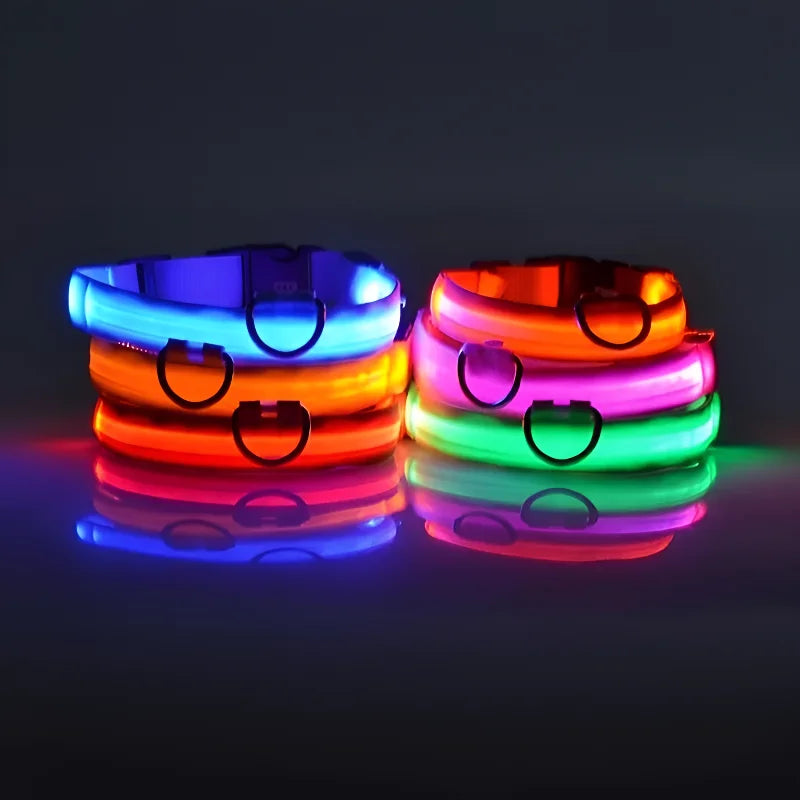 Nylon LED Night Dog Collar