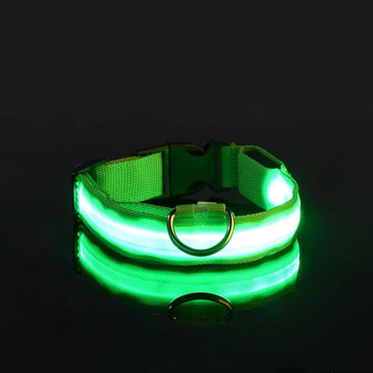 Nylon LED Night Dog Collar