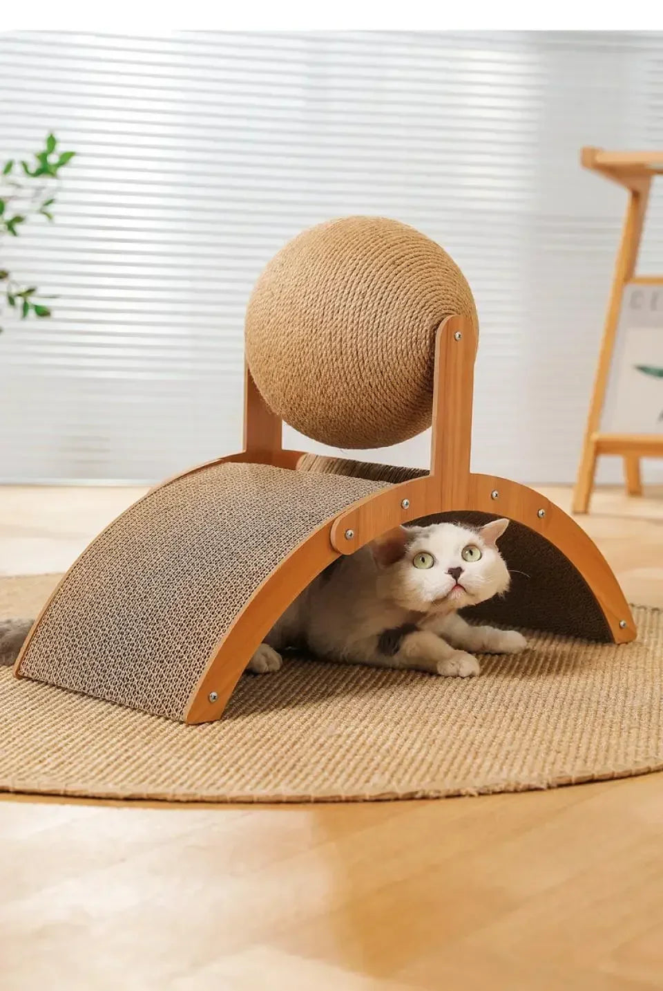 Cat Scratching Ball Wooden Cat Scratcher  Toy 2 In1