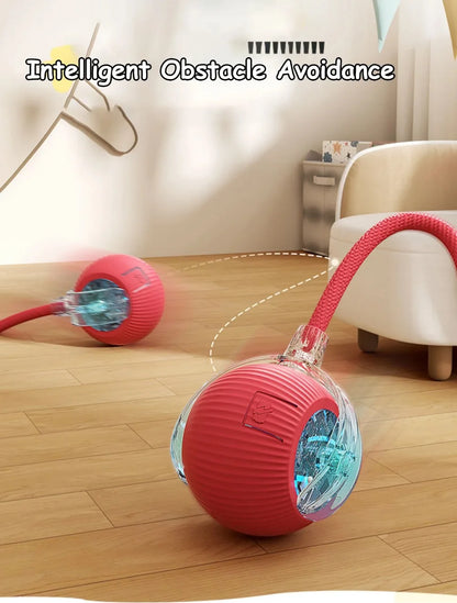 New Automatic Rolling Ball Cat Toy