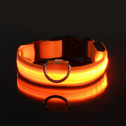 Nylon LED Night Dog Collar