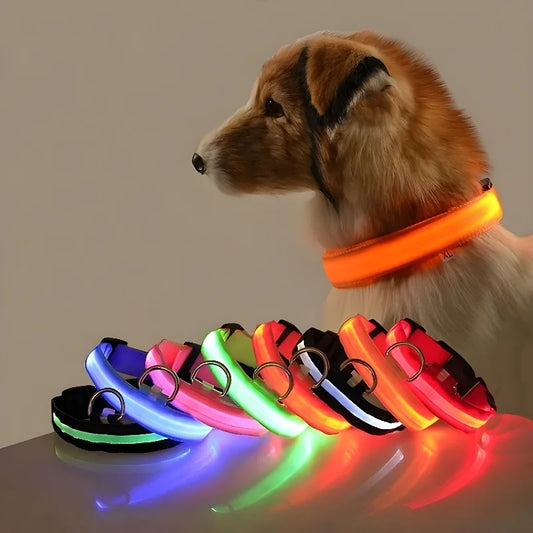 Nylon LED Night Dog Collar