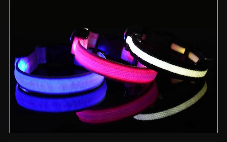 Nylon LED Night Dog Collar