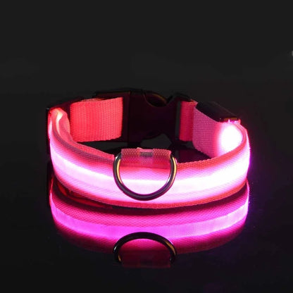 Nylon LED Night Dog Collar