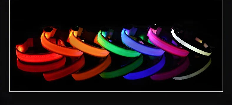 Nylon LED Night Dog Collar