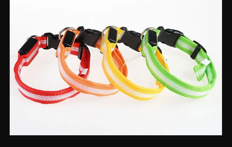Nylon LED Night Dog Collar