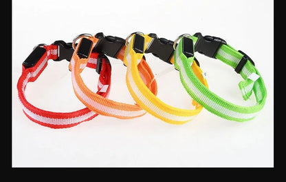 Nylon LED Night Dog Collar