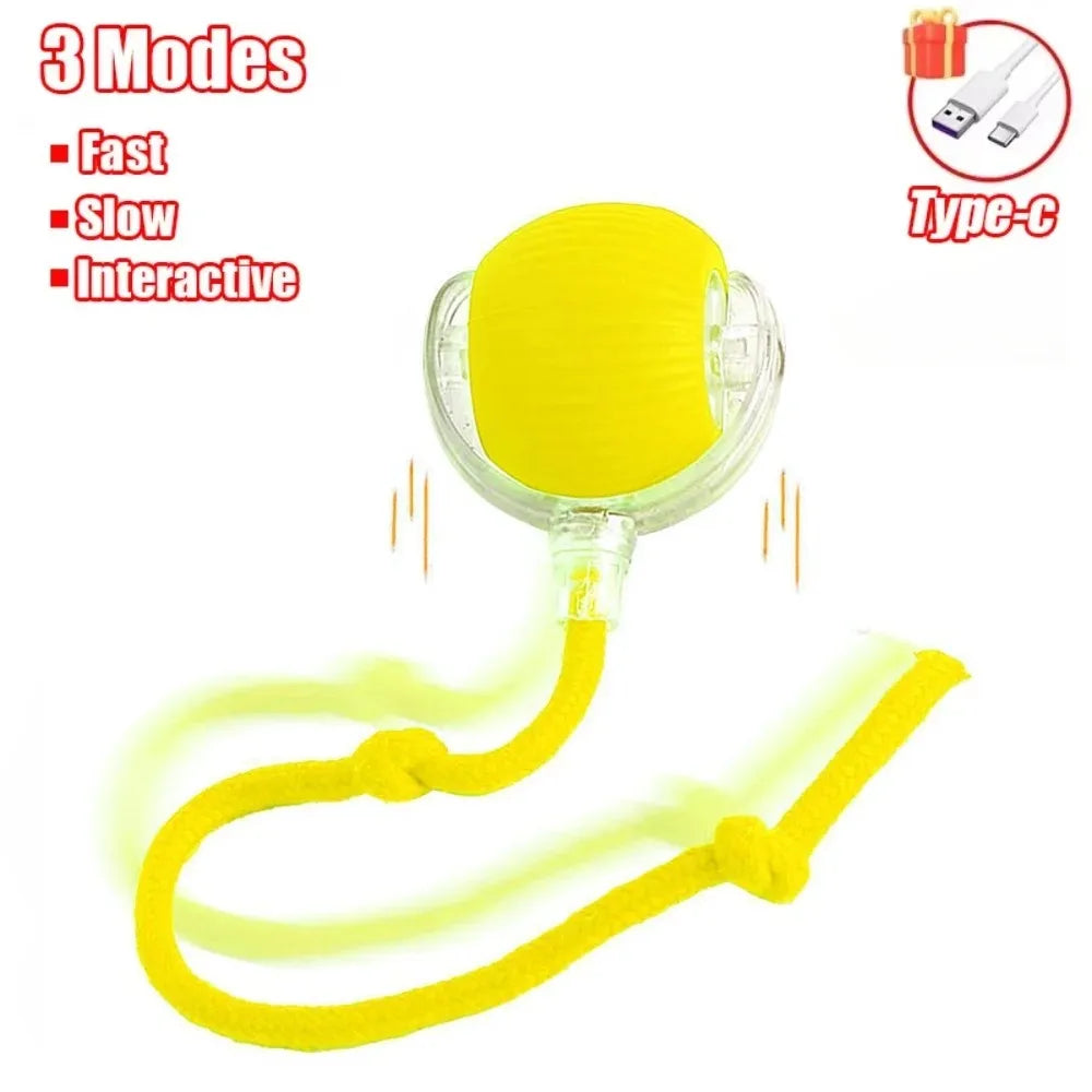 New Automatic Rolling Ball Cat Toy
